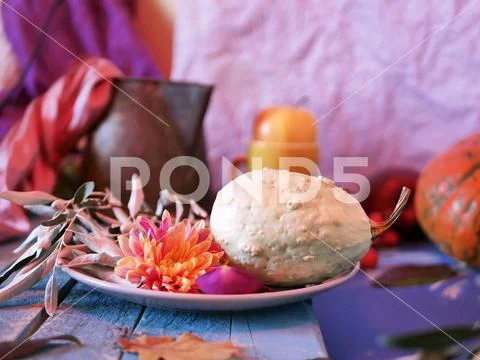 Decorative seasonal composition of bright autumn leaves, pumpkins Stock Photos