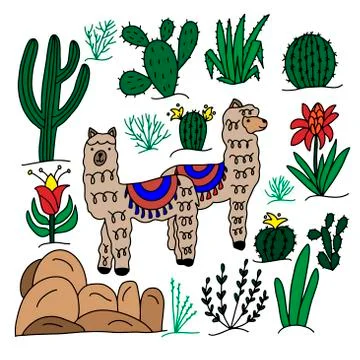 Decorative set of cute alpacas and cacti on a white background. Vector graphics Illustrazione stock