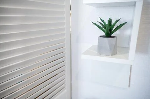 Decorative shelf white with artificial cactus in pot Stock Photos