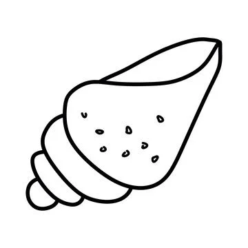 Decorative shell drawn with black line in the doodle style isolated on white  Stock Illustration