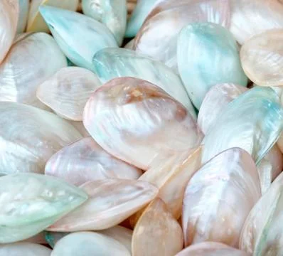 Decorative shell at market Stock Photos