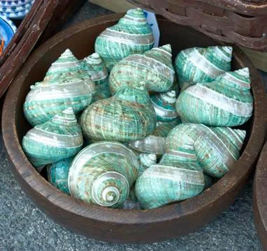 Decorative shell at market Stock Photos