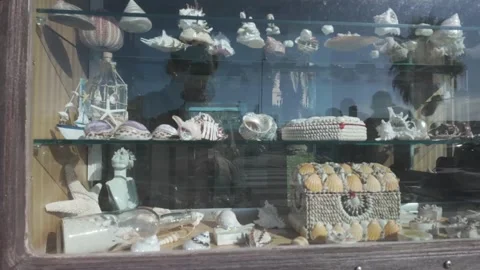 Decorative shell objects displayed by a shop selling natural stones Stock Footage 328050171
