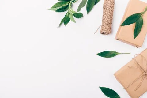 Decorative side flat lay frame of foliage 库存照片