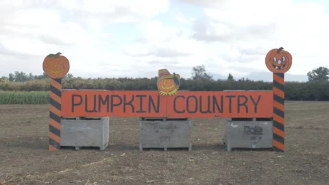 Decorative Sign at a Pumpkin Patch 스톡 동영상 208751620