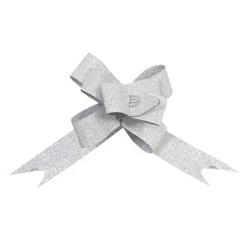 Decorative silver bow on a gift box Stock Photos