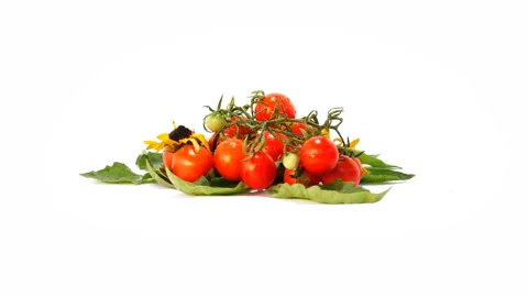 Decorative Small Tomatoes 2 動画素材 103853389
