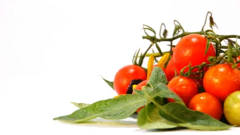 Decorative Small Tomatoes 3 스톡 동영상 103853898