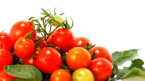 Decorative Small Tomatoes 動画素材 103854376