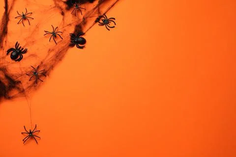 Decorative spiders and web on orange background, flat lay with space for text Stock Photos