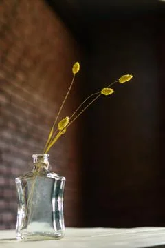 Decorative spikelets in bottle Stock Photos