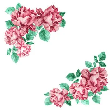 Decorative square corner frame of pink garden roses with green leaves. Light Stock Illustration