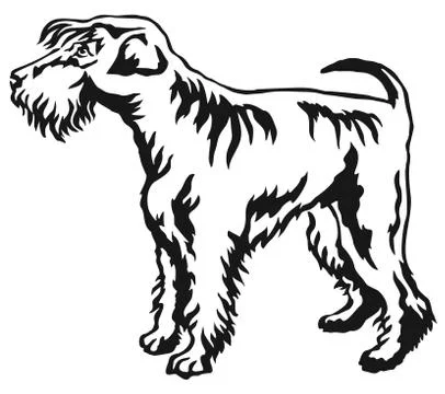 Decorative standing portrait of Schnauzer vector illustration Stock Illustration