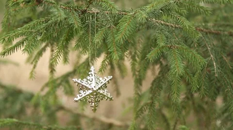 Decorative star hanging in christmas tree Stock Footage 44220510
