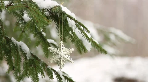 Decorative star hanging in christmas tree (rack focus) Stock Footage 44225076