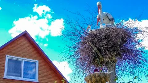 Decorative storks in the nest Stock Photos