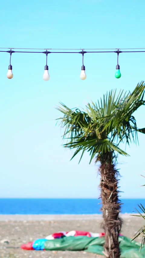 Decorative string lights above palm tree by the beach with ocean view Video stock 327699295