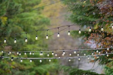Decorative string lights in autumn setting 스톡 사진