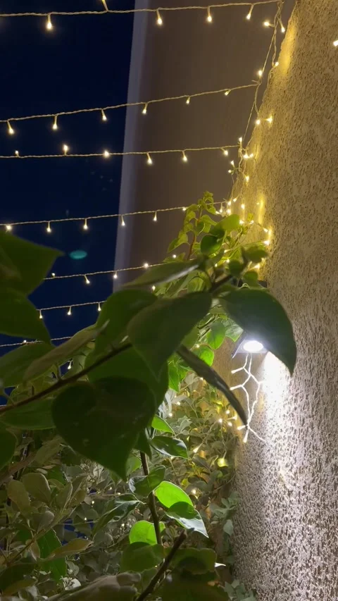 Decorative String Lights Glowing Against Night Sky Stock Footage 344662052