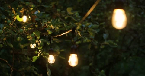 Decorative string lights hanging in backyard for outdoor party Stock Footage 77530624