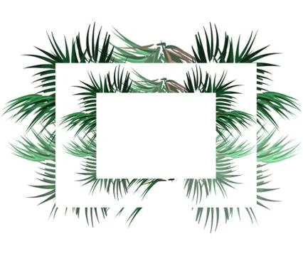 Decorative summer background for text with palm branches Stock-Illustration
