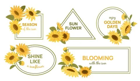 Decorative sunflower frames. Different shapes borders with blooming summer 스톡 일러스트