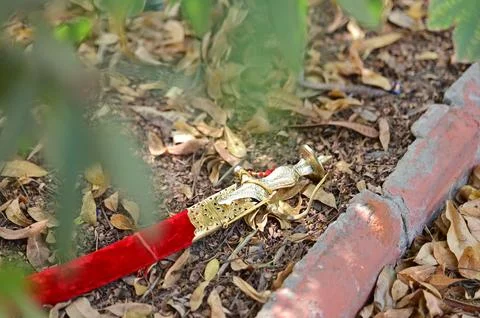 Decorative sword with red sheath and golden hilt Stock Photos