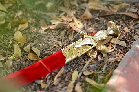 Decorative sword with red sheath and golden hilt Stock Photos