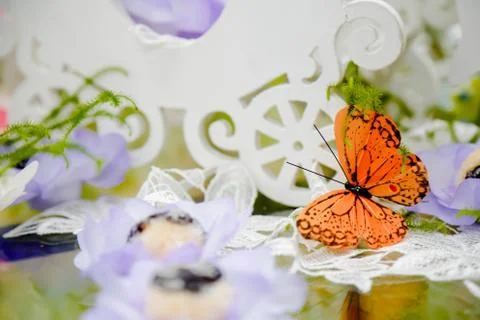 Decorative table butterfly Stock Photos