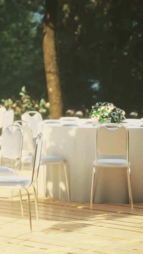 Decorative table setting at an outdoor event during the daytime in a garden Stock Footage 334723689