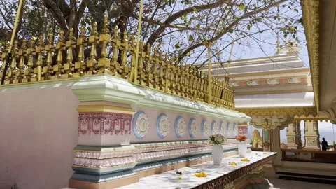 Decorative temple wall and sacred tree at Mahamevnawa Monastery Sri Lanka Video stock 331705048
