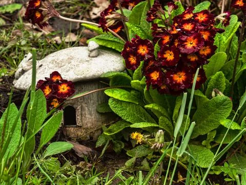 Decorative toad stool shaped frog house Stock Photos