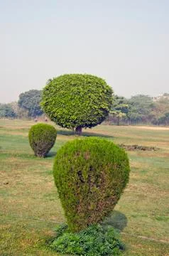 Decorative tree forms in New Delhi park Stock Photos