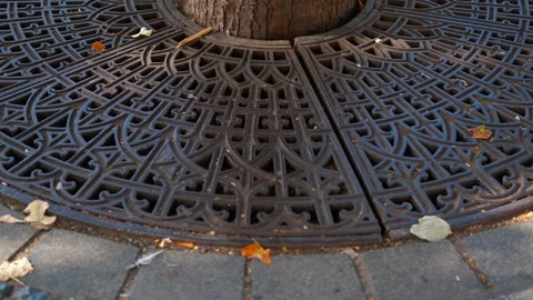 Decorative tree grate Stock Footage 306597224