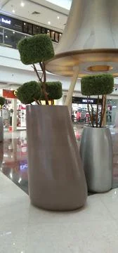 The decorative tree pot Stock Photos