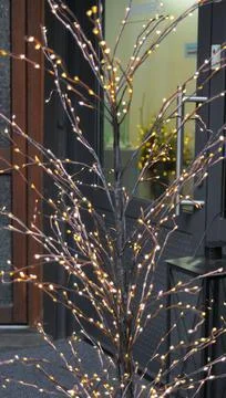 Decorative tree with warm LED lights near entrance Stock Photos