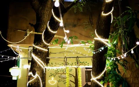 Decorative Tree Wrapped With LED String Lights For Diwali Outdoor Celebration Stock Photos