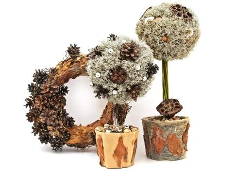 Decorative Trees Stock Photos