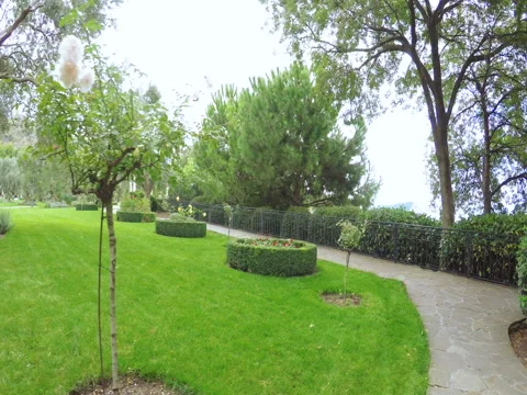 Decorative trees in resort park 스톡 동영상 71412969