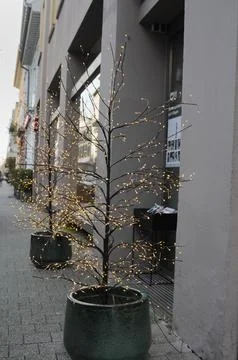 Decorative trees with string lights in urban space Stock Photos