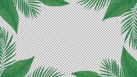 Decorative tropical palm leaf border frame isolated on transparent backgrou.. Stock Footage 333782843