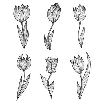 Decorative tulips Stock Illustration