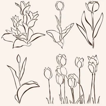 Decorative tulips Stock Illustration