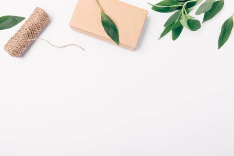 Decorative upper flat lay frame of foliage Stock Photos