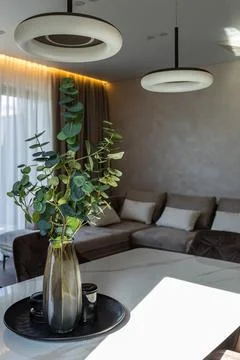 Decorative vase with eucalyptus on dining table in modern living room Fotos de archivo