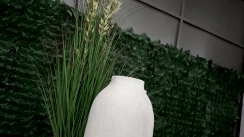 Decorative vase with greenery displayed against a textured wall in a modern Stock Footage 317754828
