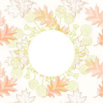 Decorative vector frame 库存插图