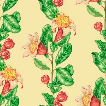 Decorative vector graphic seamless paterrn vertical line with pomegranate fru Stock Illustration