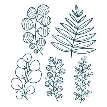 Decorative vector leaves. Botanical elements design. Leaves print collection. Stockillustratie