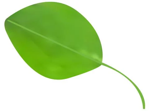 Decorative Vector leaves on white background Stock Illustration